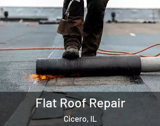  Flat Roof Repair Cicero, IL