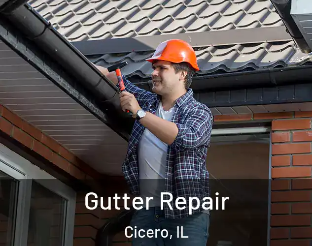  Gutter Repair Cicero, IL
