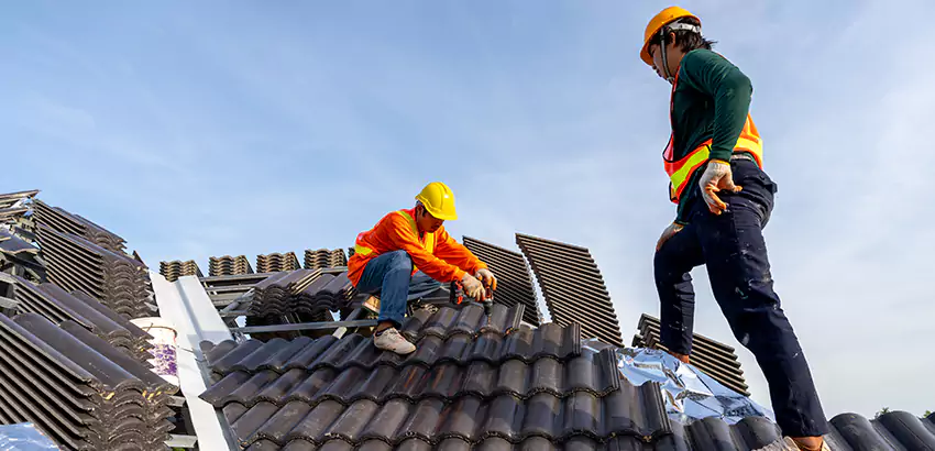 Professional Roofing Services in Cicero, IL