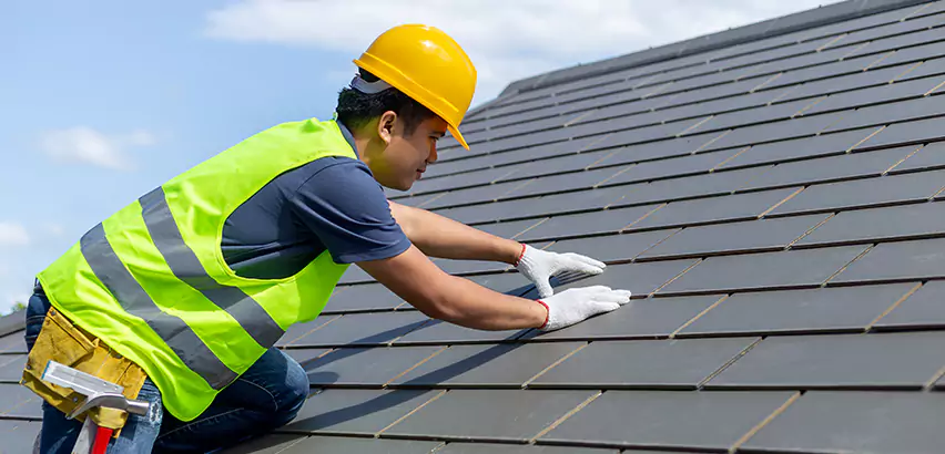 Dimensional Shingle Installation in Cicero