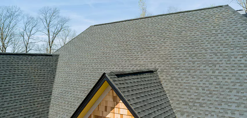 Replacing Vinyl Siding With Cedar Shingles in Cicero