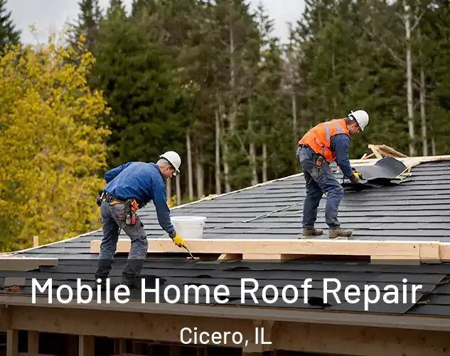  Mobile Home Roof Repair Cicero, IL