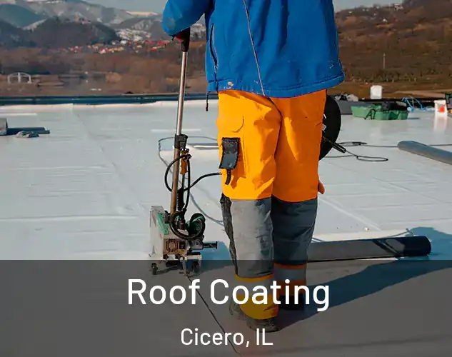  Roof Coating Cicero, IL