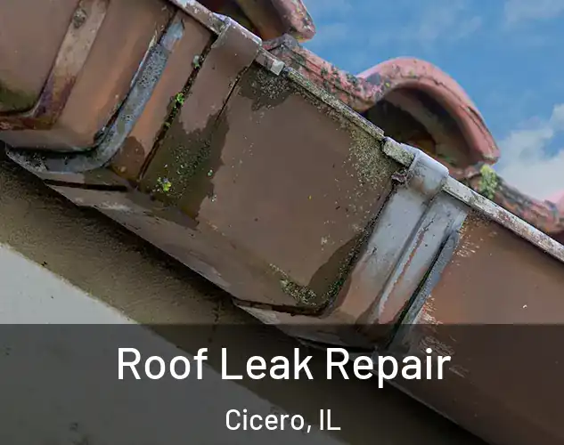  Roof Leak Repair Cicero, IL
