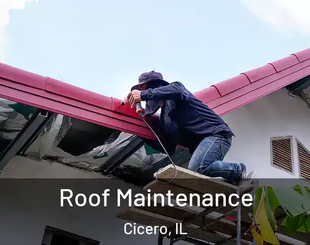  Roof Maintenance Cicero, IL