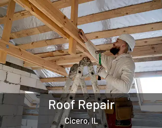  Roof Repair Cicero, IL