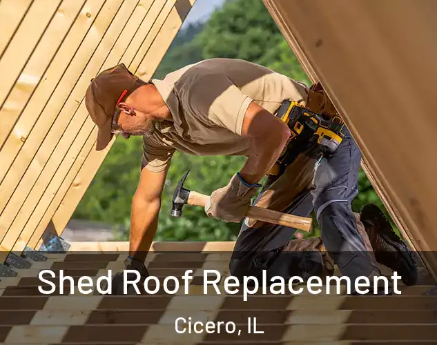  Shed Roof Replacement Cicero, IL