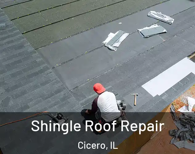  Shingle Roof Repair Cicero, IL