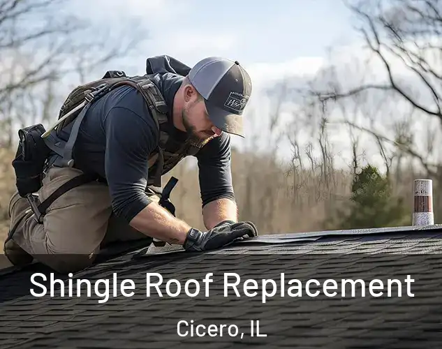  Shingle Roof Replacement Cicero, IL