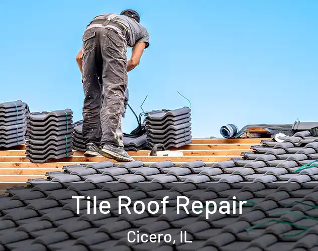 Tile Roof Repair Cicero, IL