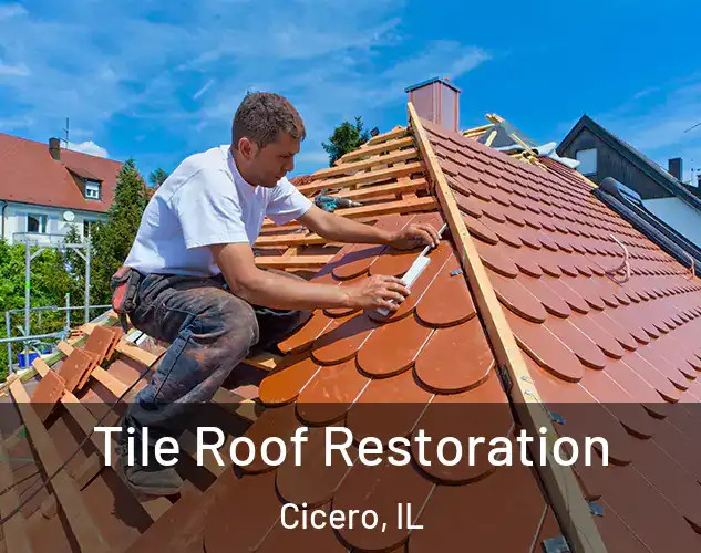  Tile Roof Restoration Cicero, IL